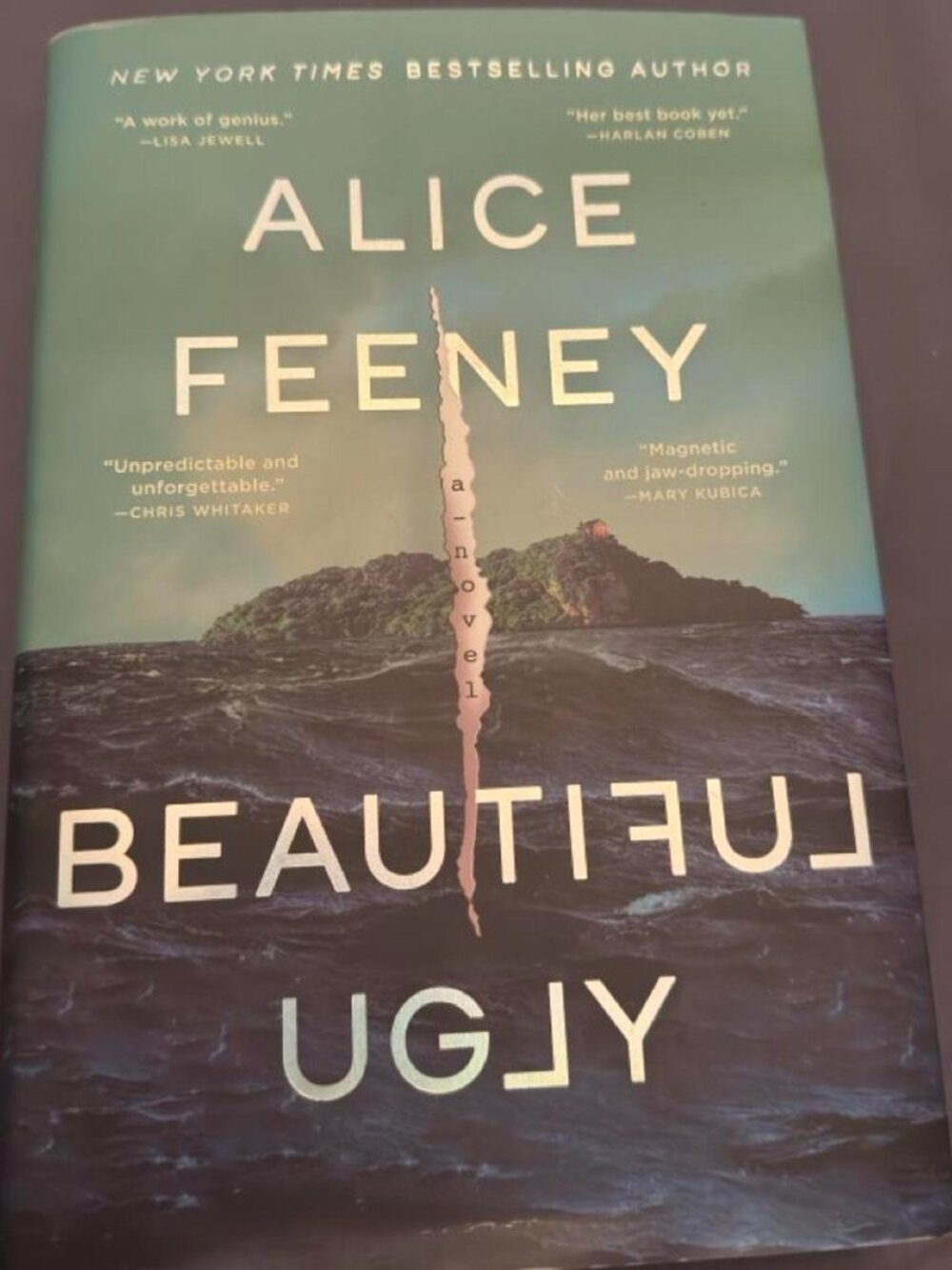 Beautiful ugly hardcover book